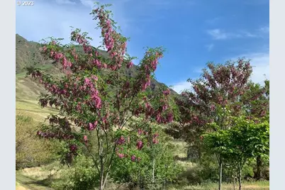 74234 Lower Imnaha River Rd, Imnaha, OR 97842 - Photo 9