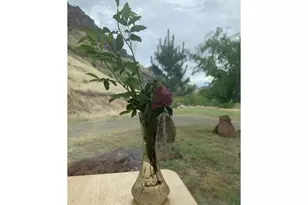 74234 Lower Imnaha River Rd, Imnaha, OR 97842 - Photo 17