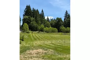 2 NE 144th St, Brush Prairie, WA 98606 - Photo 1