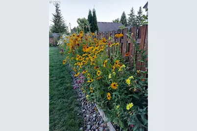 437 N 8th Pl, Carlton, OR 97111 - Photo 29