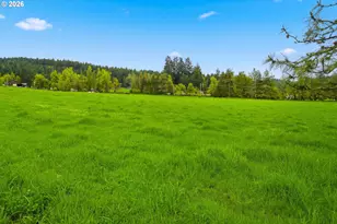 39465 Little Fall Creek Rd, Fall Creek, OR 97438 - Photo 15