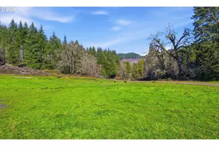 39465 Little Fall Creek Rd, Fall Creek, OR 97438 - Photo 25