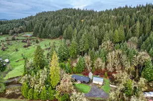 39465 Little Fall Creek Rd, Fall Creek, OR 97438 - Photo 17