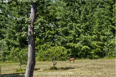 17340 NE Woodland Loop Rd, Yamhill, OR 97148 - Photo 45