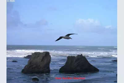 0 Allegheny Rd, Bandon, OR 97411 - Photo 15