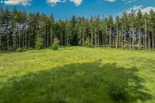 26423 S Beavercreek Rd, Beavercreek, OR 97004 - Photo 7