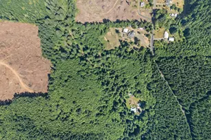 1407 Slide Creek Rd, Longview, WA 98632 - Photo 43