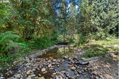 1407 Slide Creek Rd, Longview, WA 98632 - Photo 39