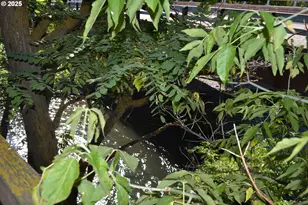 78997 Imnaha Hwy, Imnaha, OR 97842 - Photo 33