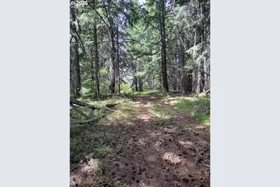 [Address not provided], Lyle, WA 98635 - Photo 1