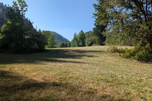 4810 State Hwy 138, Oakland, OR 97462 - Photo 31