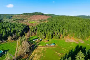 39557 Little Fall Creek Rd, Fall Creek, OR 97438 - Photo 39