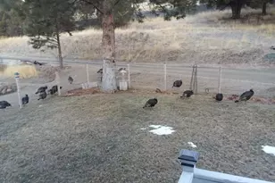 60408 Marysville Ln, Canyon City, OR 97820 - Photo 19