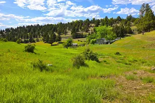 60408 Marysville Ln, Canyon City, OR 97820 - Photo 39