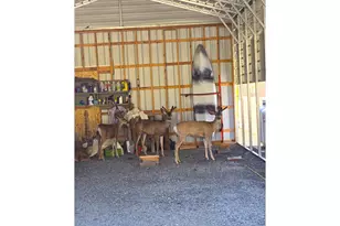 60408 Marysville Ln, Canyon City, OR 97820 - Photo 13