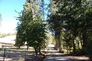 375 Jordan Creek Rd, Riddle, OR 97469 - Photo 35