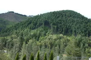 375 Jordan Creek Rd, Riddle, OR 97469 - Photo 31