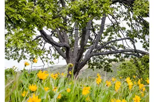 3465 Three Mile Rd, The Dalles, OR 97058 - Photo 41