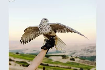 3465 Three Mile Rd, The Dalles, OR 97058 - Photo 45