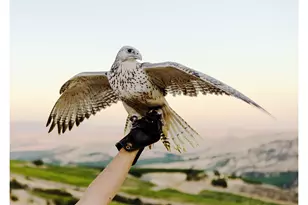 3465 Three Mile Rd, The Dalles, OR 97058 - Photo 45