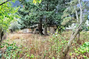 8451 SE Bush St, Portland, OR 97266 - Photo 37