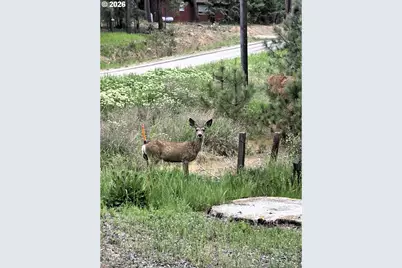 602 Mill St, Sumpter, OR 97877 - Photo 17