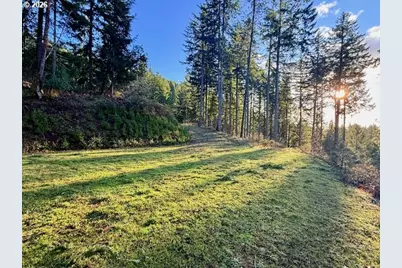 Alder Branch Rd, Springfield, OR 97478 - Photo 9