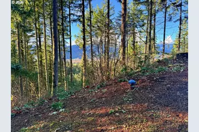 Alder Branch Rd, Springfield, OR 97478 - Photo 13