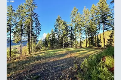 Alder Branch Rd, Springfield, OR 97478 - Photo 5