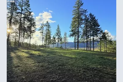 Alder Branch Rd, Springfield, OR 97478 - Photo 7