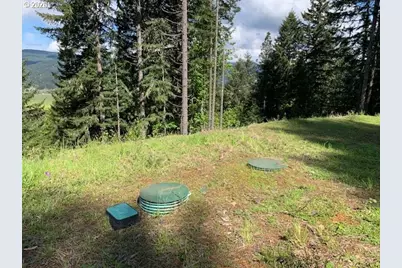 Alder Branch Rd, Springfield, OR 97478 - Photo 17