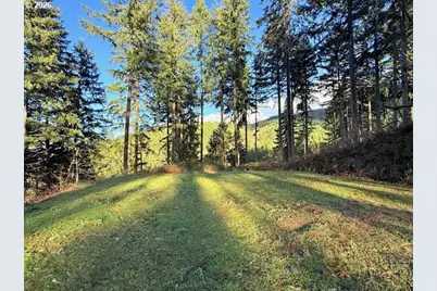 Alder Branch Rd, Springfield, OR 97478 - Photo 3