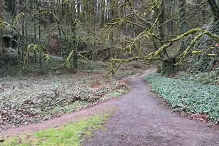 2575 NW Lovejoy St, Portland, OR 97210 - Photo 27