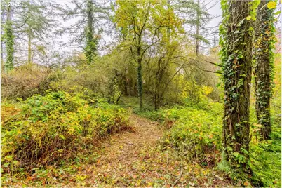 Nw Miller Ln, Albany, OR 97321 - Photo 7
