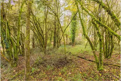 Nw Miller Ln, Albany, OR 97321 - Photo 11