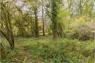 Nw Miller Ln, Albany, OR 97321 - Photo 15