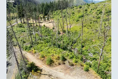 Blue River Rd, Eugene, OR 97401 - Photo 23
