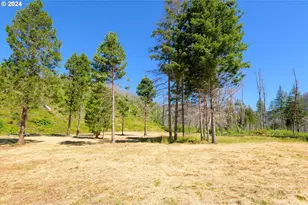 Blue River Rd, Eugene, OR 97401 - Photo 1