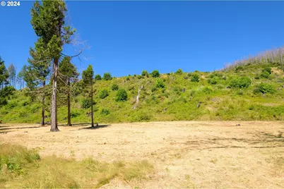 Blue River Rd, Eugene, OR 97401 - Photo 5