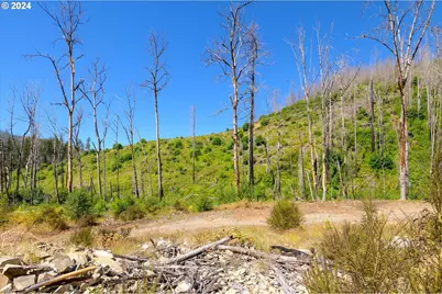 Blue River Rd, Eugene, OR 97401 - Photo 27
