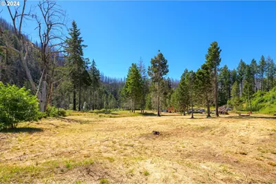 Blue River Rd, Eugene, OR 97401 - Photo 35
