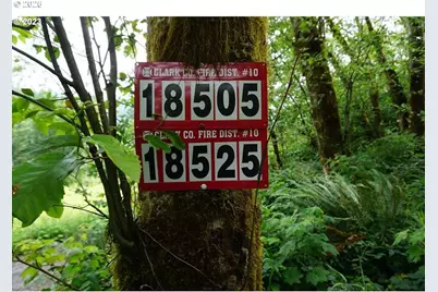 0 NE Buncombe Hollow Rd, Woodland, WA 98674 - Photo 3