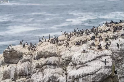 315 NE Vista Terrace Ave, Depoe Bay, OR 97341 - Photo 19