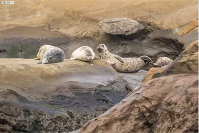 315 NE Vista Terrace Ave, Depoe Bay, OR 97341 - Photo 21