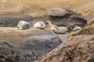 315 NE Vista Terrace Ave, Depoe Bay, OR 97341 - Photo 21