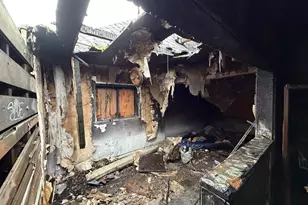 4611 N Minnesota Ave, Portland, OR 97217 - Photo 7