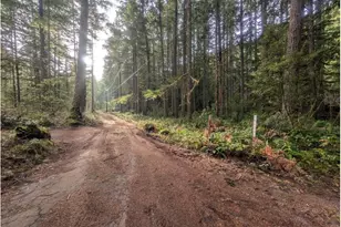 75106 E Road 28B, Rhododendron, OR 97049 - Photo 35