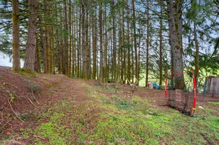 7001 SW Winters Rd, Cornelius, OR 97113 - Photo 9