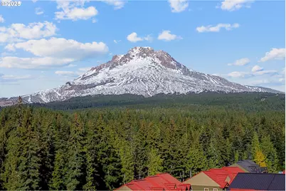 87926 E Alpenglow Ln #61, Government Camp, OR 97028 - Photo 3