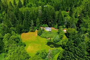 431 Skelton Rd, Stevenson, WA 98648 - Photo 45